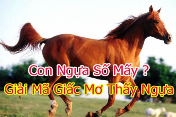 Giải mã giấc mơ thấy ngựa và gợi ý con ngựa số mấy